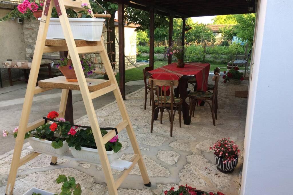 Guest House Kostadinovi Bŭlgarevo 外观 照片