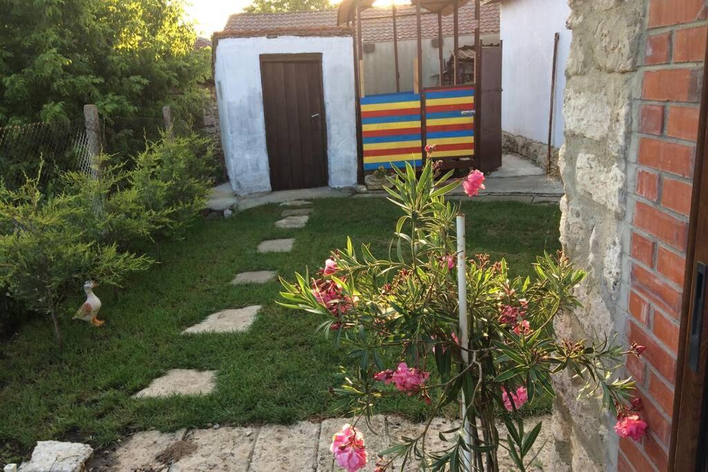 Guest House Kostadinovi Bŭlgarevo 外观 照片