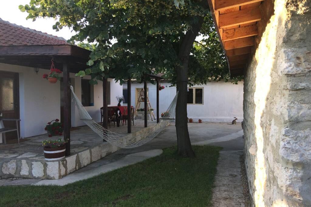 Guest House Kostadinovi Bŭlgarevo 外观 照片
